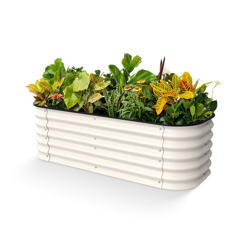 Ivory White Oval Galvanized Vegetable Planters 5*2*1.5ft Corrosion Resistance