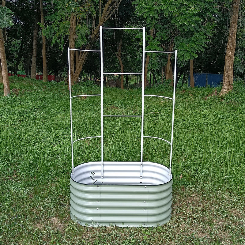Garden Cucumber Trellis Large H Shape 6ft Tall For Climbing Plants Support