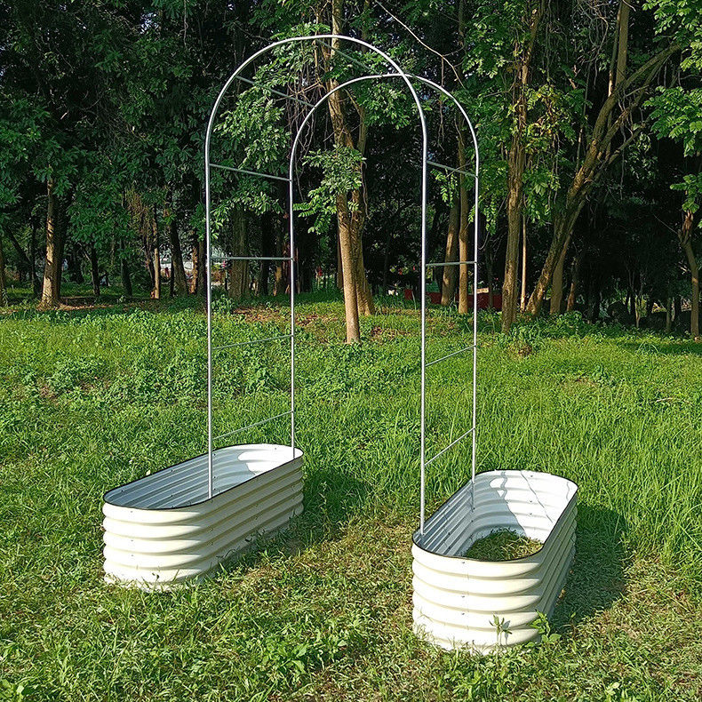 Sturdy  Outdoor Garden Metal Trellis For Cucumbers 3 Ft×8 Ft  Rustproof