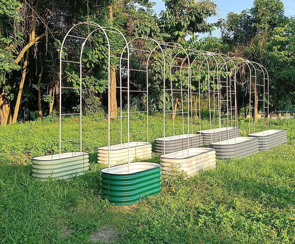 Sturdy  Outdoor Garden Metal Trellis For Cucumbers 3 Ft×8 Ft  Rustproof