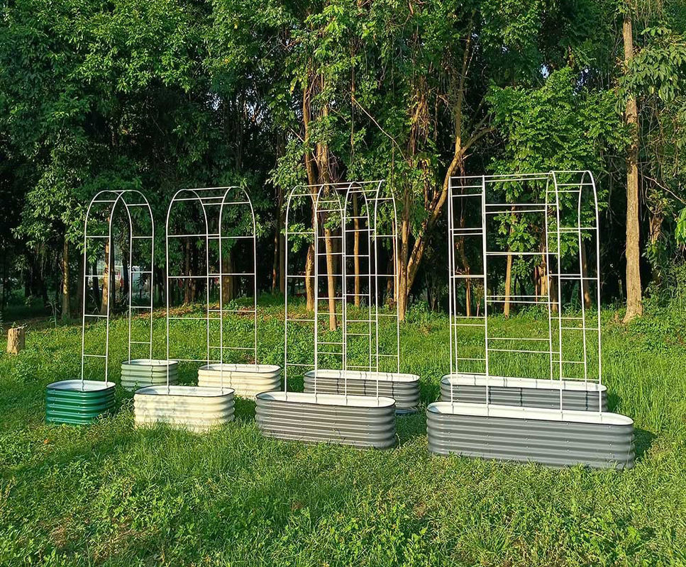 Sturdy  Outdoor Garden Metal Trellis For Cucumbers 3 Ft×8 Ft  Rustproof